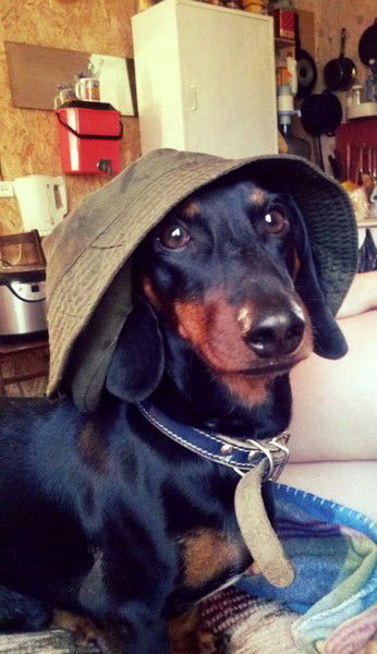 Ольга Армянинова