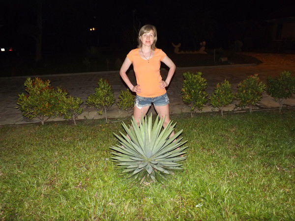 Татьяна Тальнишных