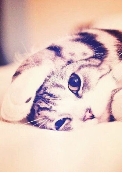 Кристина Климова