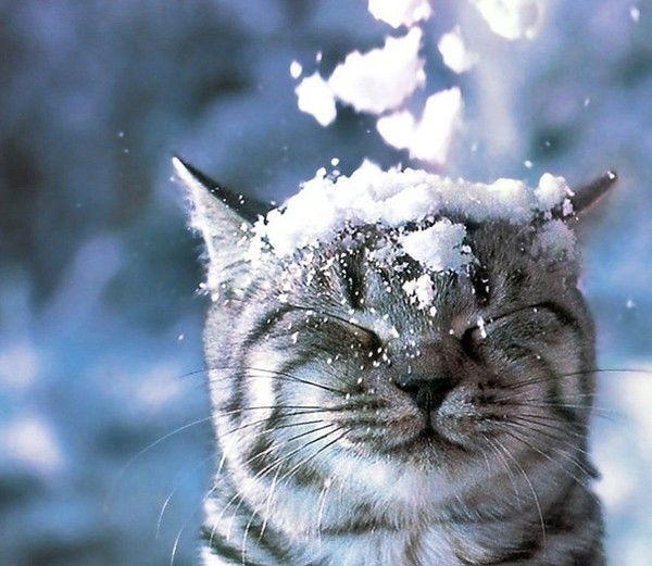 Асема Каженова