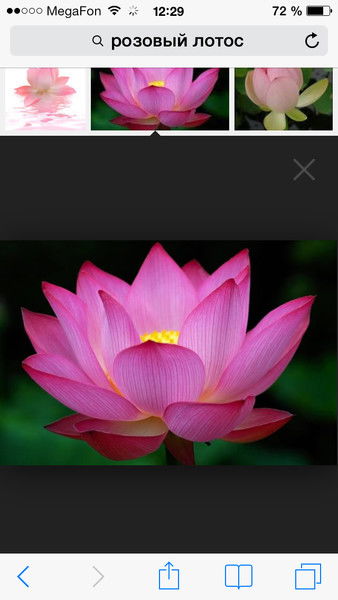 Виктория Морозова