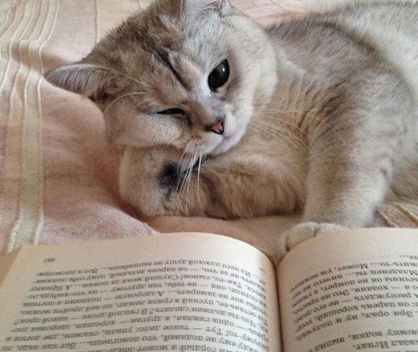 Людмила Зотова