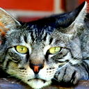 Сергей Безумцев