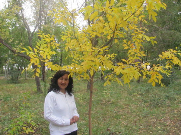 Айгуль Серикбаева