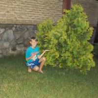 Илья Власов