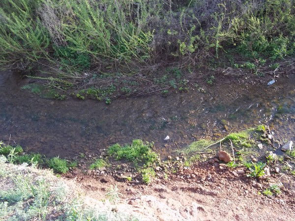 Ильнура Катеранова