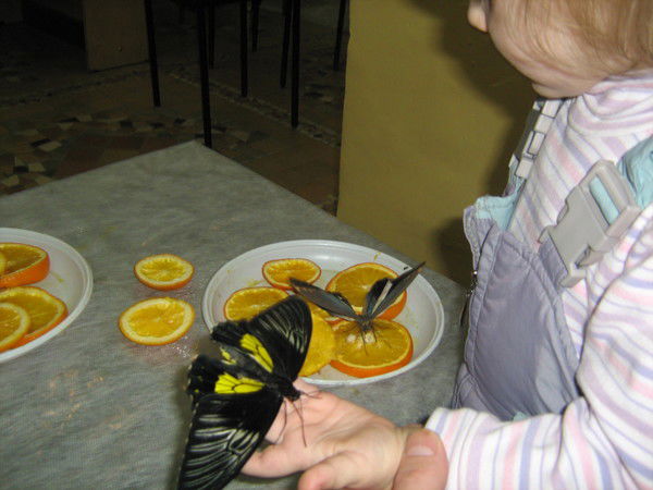 Светлана Косенко