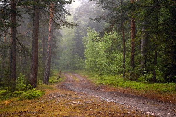 Сергей Мкоян