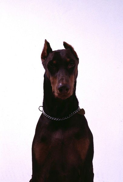 Павел Лякун