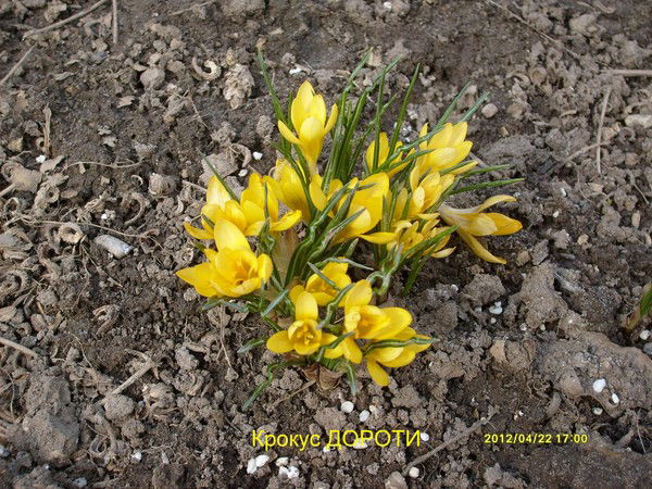 Татьяна ---"""---