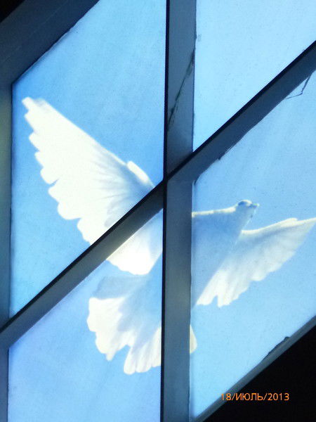 Эльмира Аменова