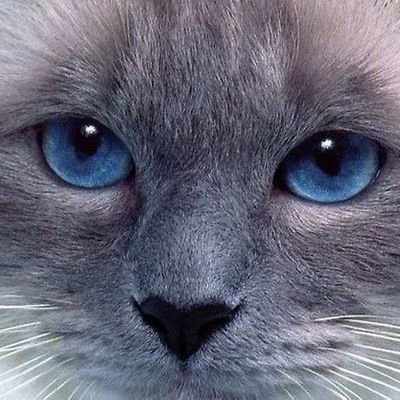 Милена Нурмухаметова