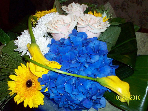 Елена Аксенова