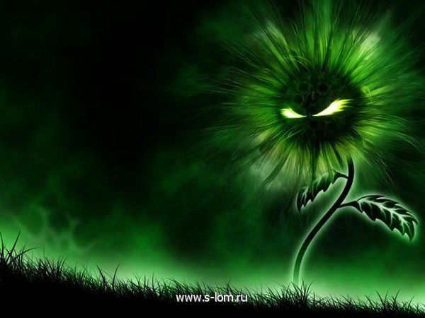 Сергей Засухин