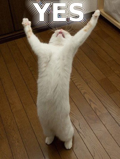 Илона Трофимович