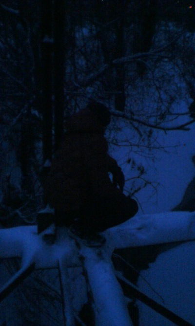 Евгений Игнатьев