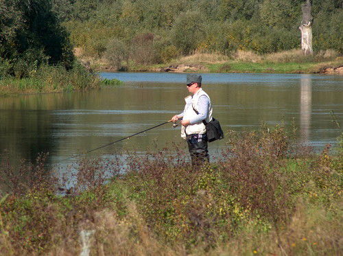 Владимир Посикера