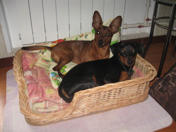 Оксана Дымская