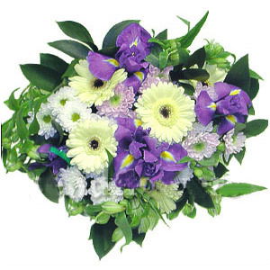 Надежда Лапшина