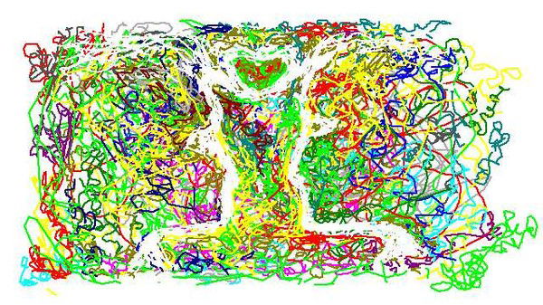 Нелли Зинченко