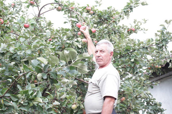 Анатолий Молявко