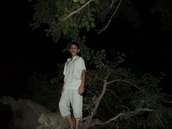 Семур Караев