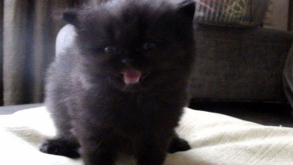 Инна Тимофеева