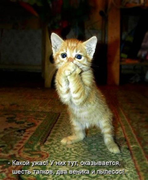 Александр Двоеглазов