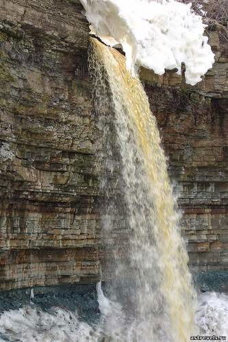 Валерия Борисова