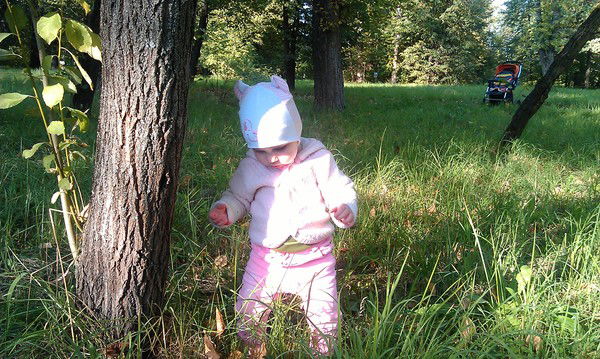 Дмитрий Корман