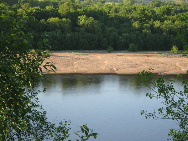 Елена Тарабина