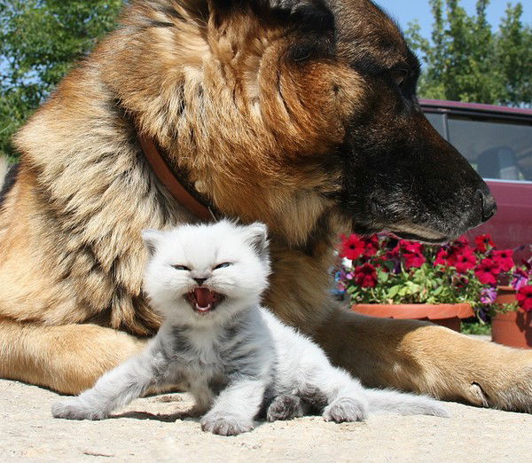 Марина Тарасова