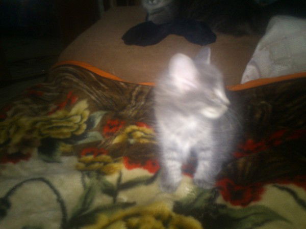 Наташа Филатова