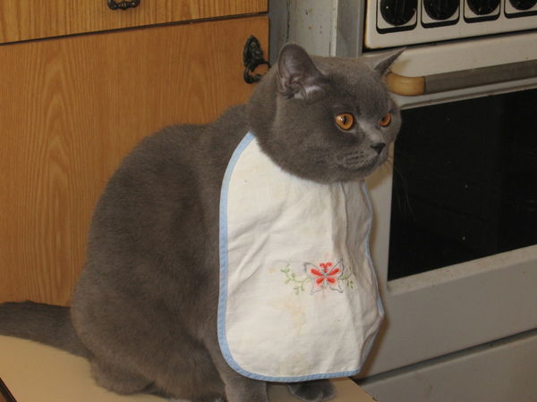 Николай Марков