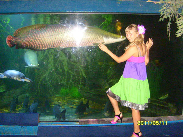 Елена Фомина