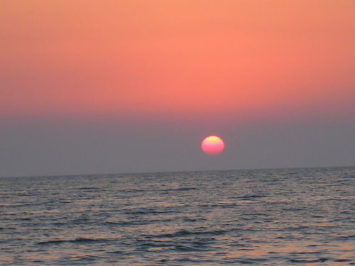 Ттооолллиикк Алее