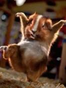 Наталия Громыкина