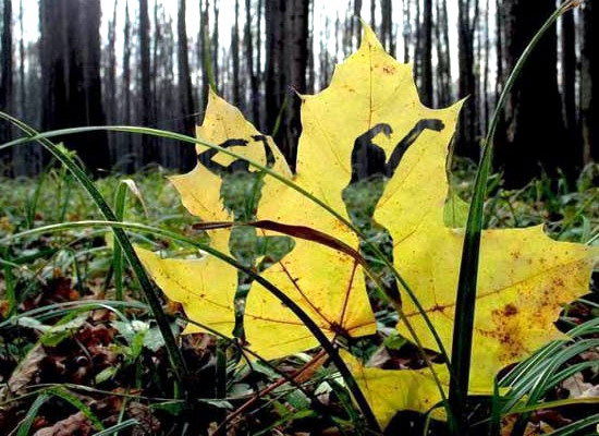 Лилия Биктимерова