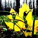 Лилия Биктимерова