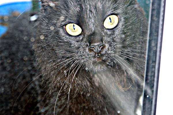 Ангелина Юринова