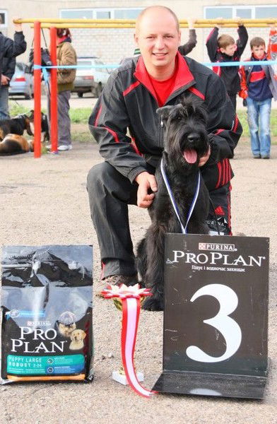 Сергей Стрельцов