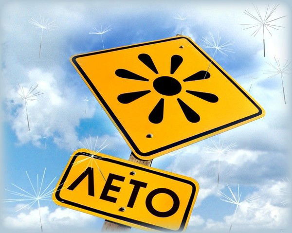 Надежда Евдокимова