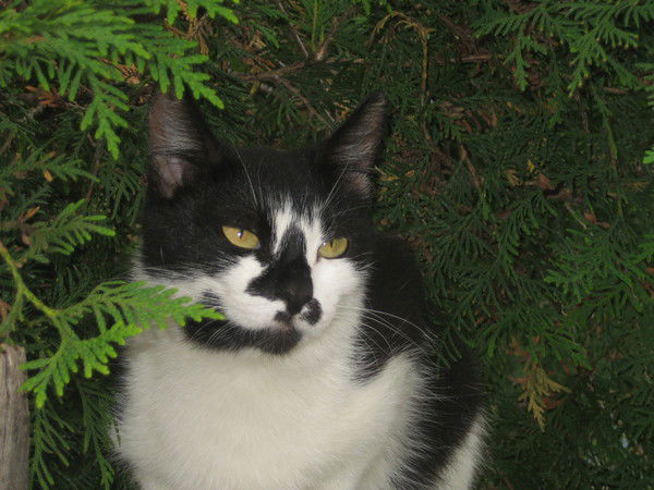 Татьяна Рябинина