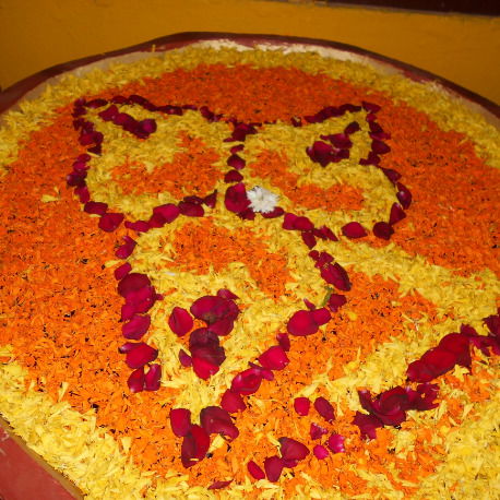 Елена Moskvitsheva