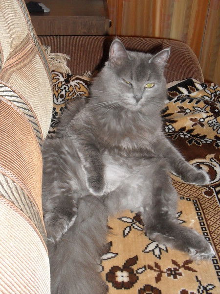 Сергей Чайко