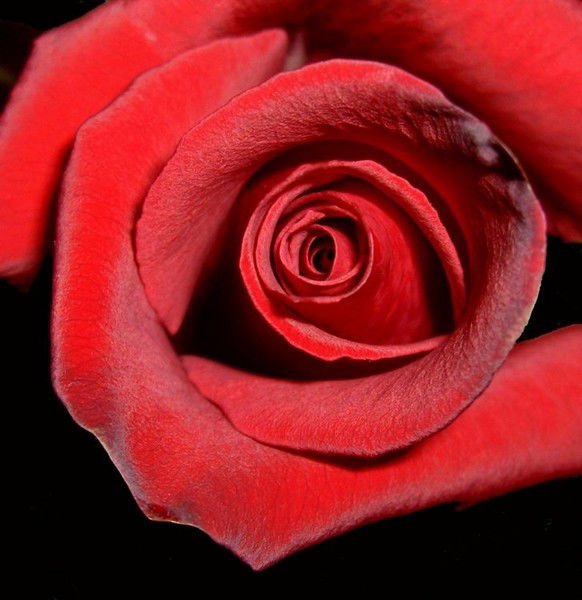 Татьяна Мартинчик