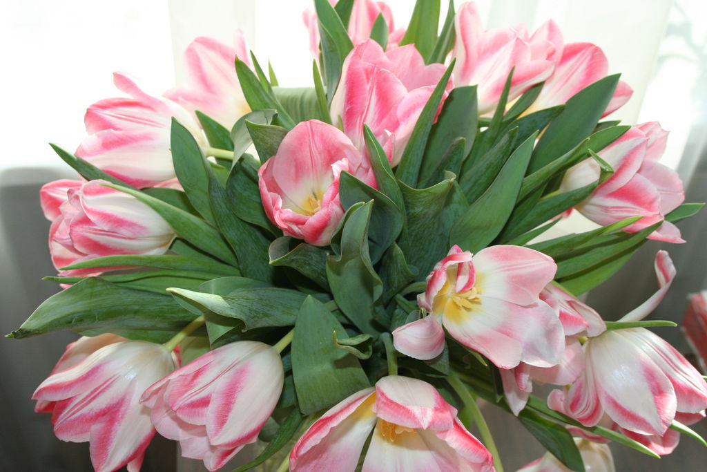 Федор Катышев