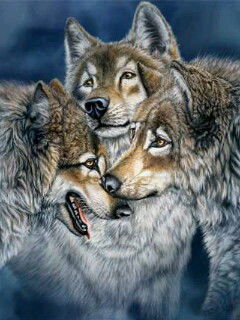 K.i.r.i.l.l. Ясеновский