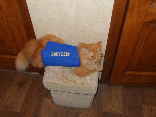 Александр Иванов