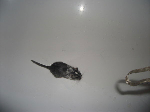 Неизвестно Неизвестно